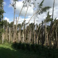 img-20170820-wa0001.jpg