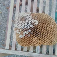 img-20171231-wa0016.jpg